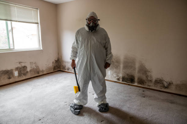 Best DIY Mold Remediation Support Services in Doolittle, TX