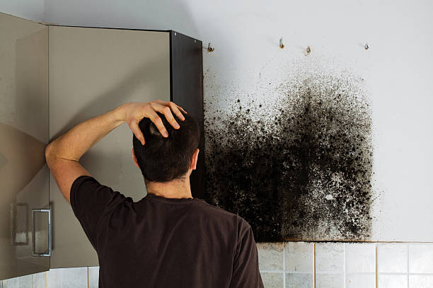 Best Bathroom Mold Remediation in Doolittle, TX